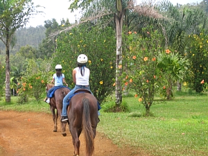 0422 horse ride 2.jpg